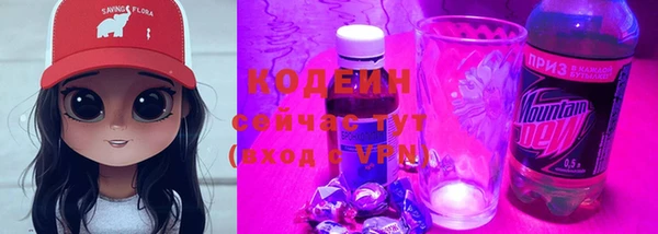 мдпв Верхний Тагил