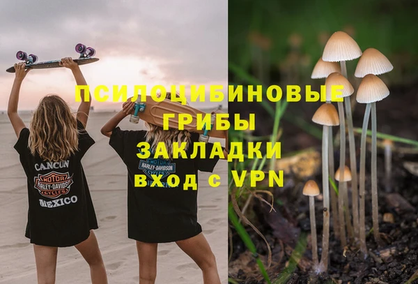 прущие грибы Бугульма