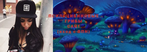мдпв Верхний Тагил