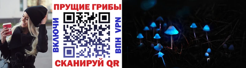 хочу наркоту  Кемь  Галлюциногенные грибы GOLDEN TEACHER 